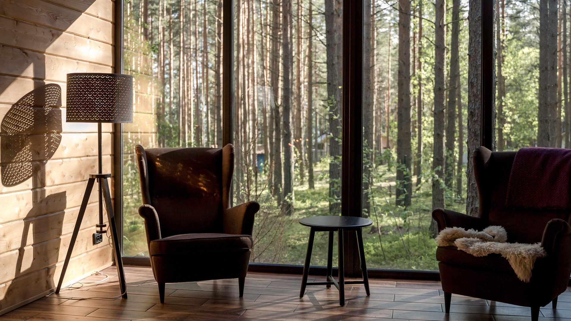 Two armchairs and a floor lamp facing a wide window onto pine trees