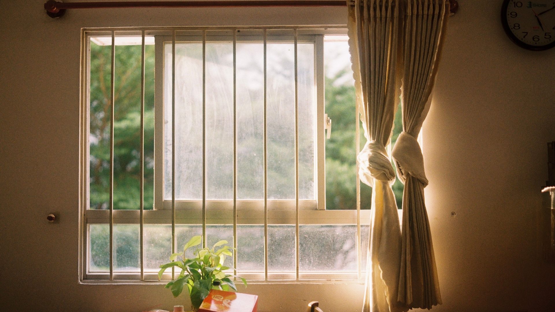 A window with a tied-back curtain looking onto greenery