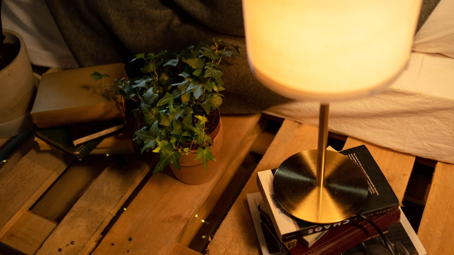 A lamp lit in a dim room beside a plant and soft cushions
