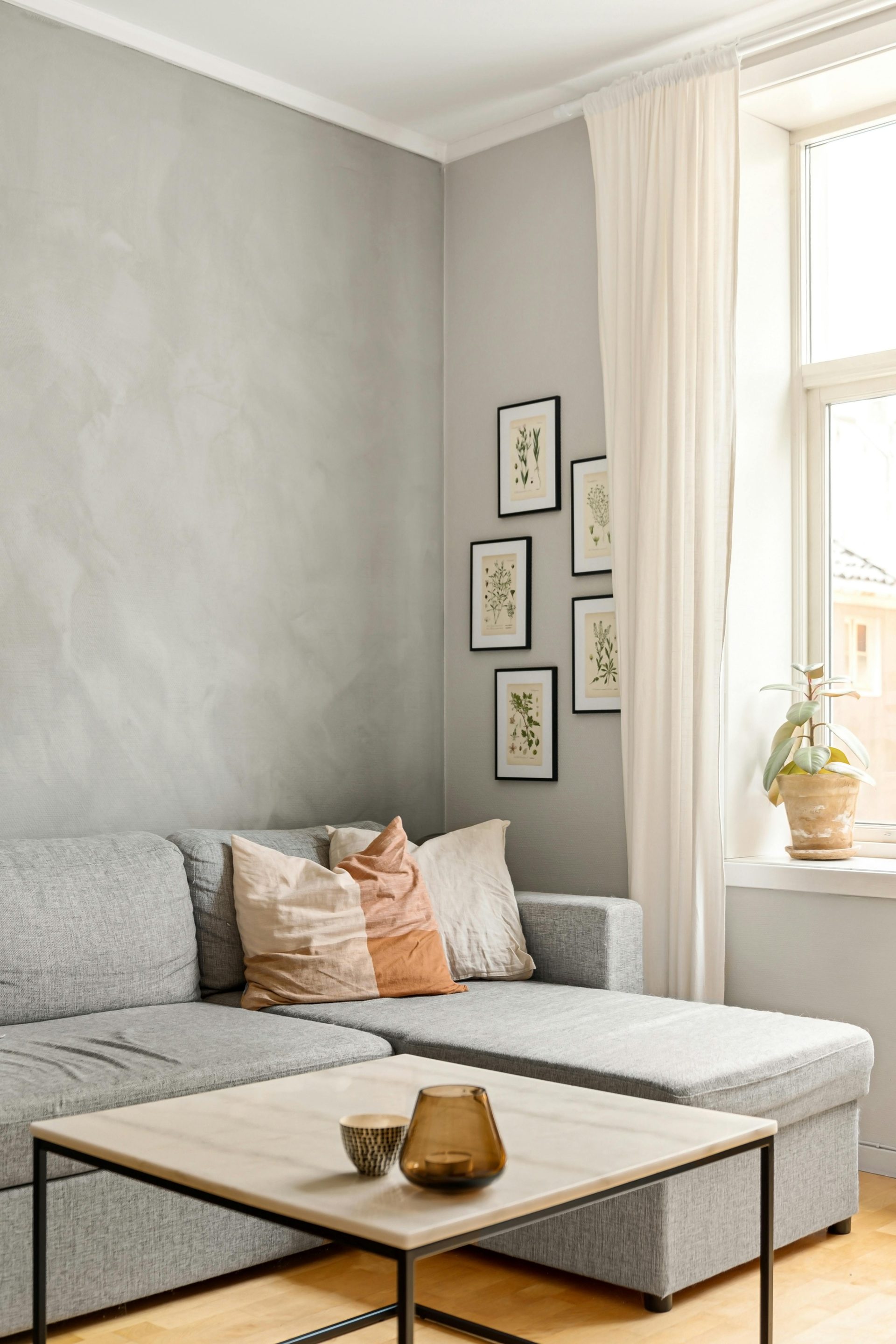 Calm, sunlit living room with framed botanical prints