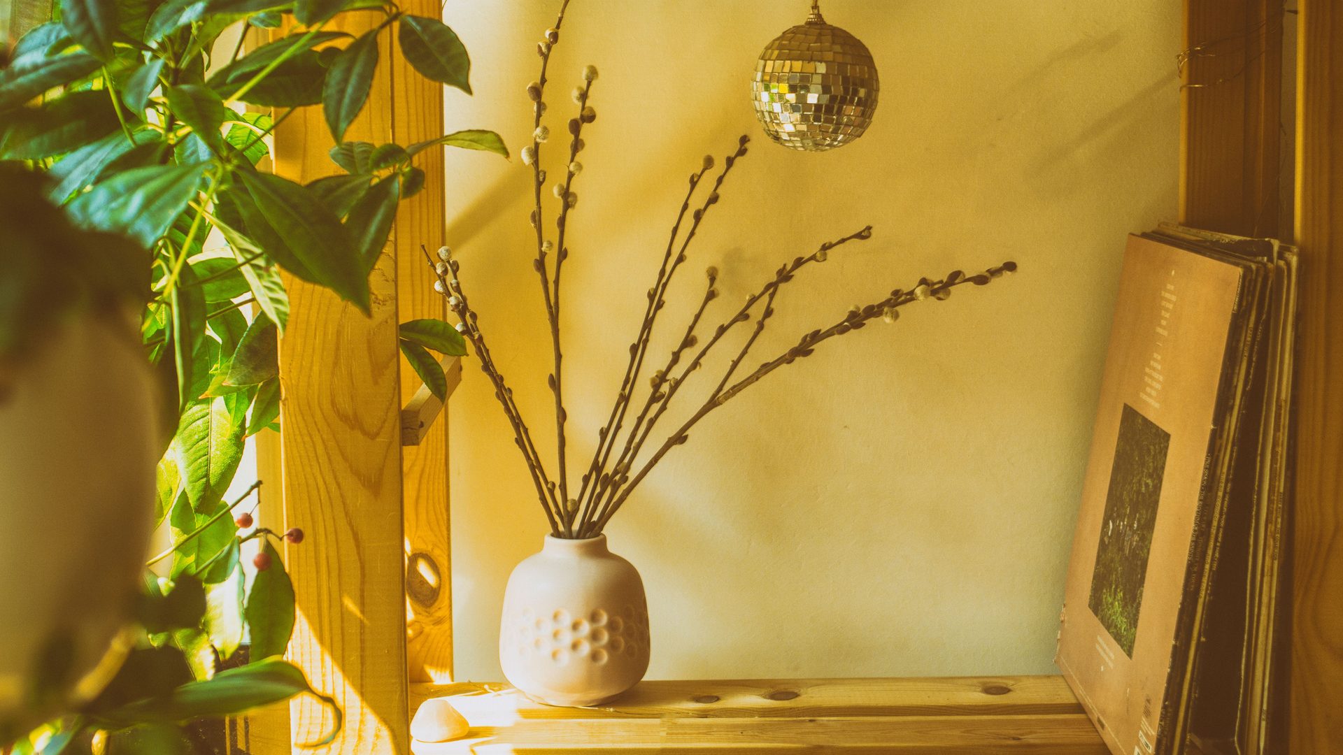 Bare branches in a vase on a shelf in warm afternoon light
