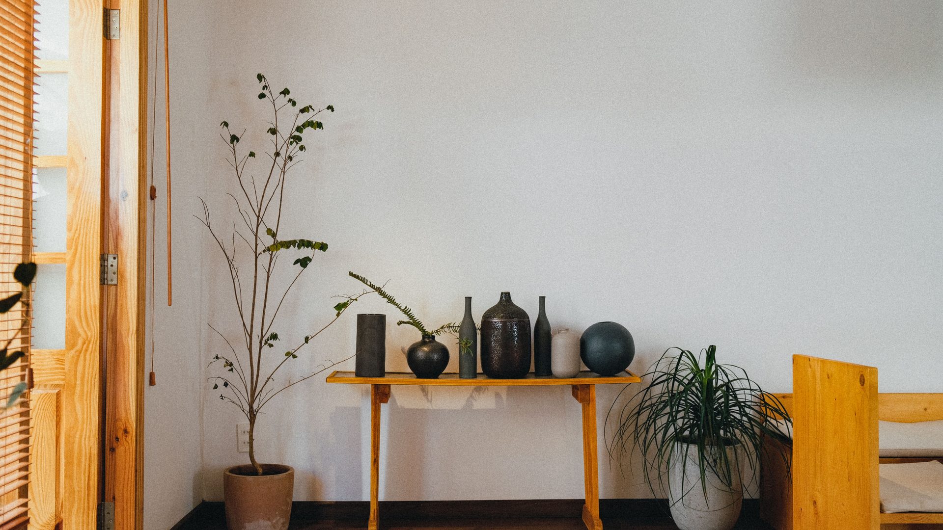 Ceramic vessels and a plant arranged on a shelf against a plain wall